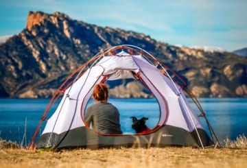 Viajar com animais: as regras de cada companhia Viajar com animais: as regras de cada companhia