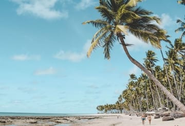 Viagem pelo Nordeste: Roteiros, melhores lugares e dicas por região