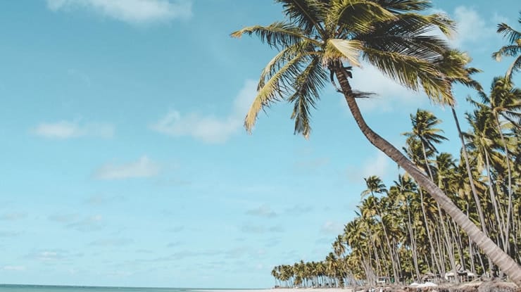Viagem pelo Nordeste: Roteiros, melhores lugares e dicas por região