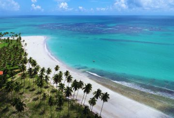 Melhores praias de Recife e arredores: conheça as TOP 10 praias imperdíveis