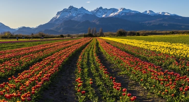 O que fazer na Argentina: dicas para o verão e inverno