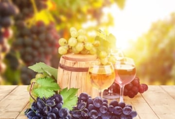 Amantes de vinho: turismo de vinho pelo Brasil e Mundo