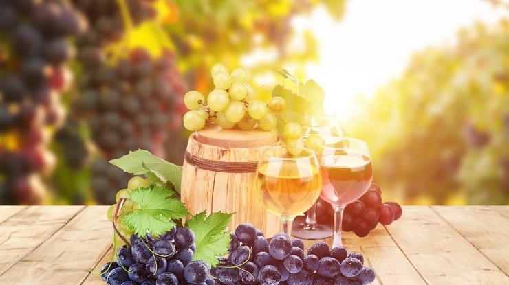 Amantes de vinho: turismo de vinho pelo Brasil e Mundo