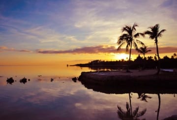 O que fazer na Flórida: cidades, dicas de turismo e sugestão de roteiro