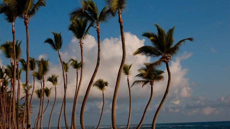 O que fazer em Punta Cana: quando ir, como chegar e dicas de viagem