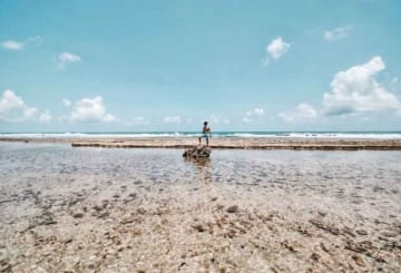 Praia de Porto de Galinhas: quando ir, como chegar e dicas de viagem