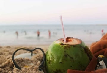 Praias do Ceará: Top 10 das praias mais bonitas do Ceará