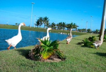 Passeios em Aracaju: quando ir, informações e dicas de viagem