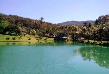 Inhotim: tudo sobre o maior museu a céu aberto do mundo
