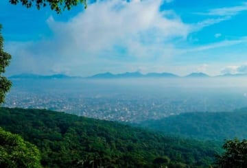 O que fazer em Joinville: arquitetura, cultura, arte e culinária