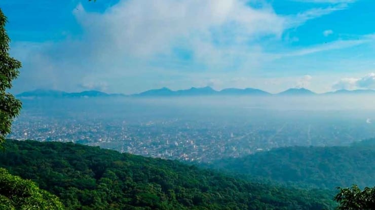 O que fazer em Joinville: arquitetura, cultura, arte e culinária