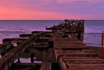 Punta Arenas, Chile: 7 lugares que você não pode deixar de explorar