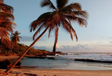 Costa do Cacau: mapa, cidades e pontos turísticos