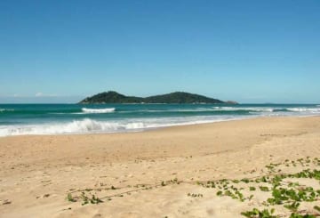 Ilha do Campeche: rotas, trilhas e sítios arqueológicos