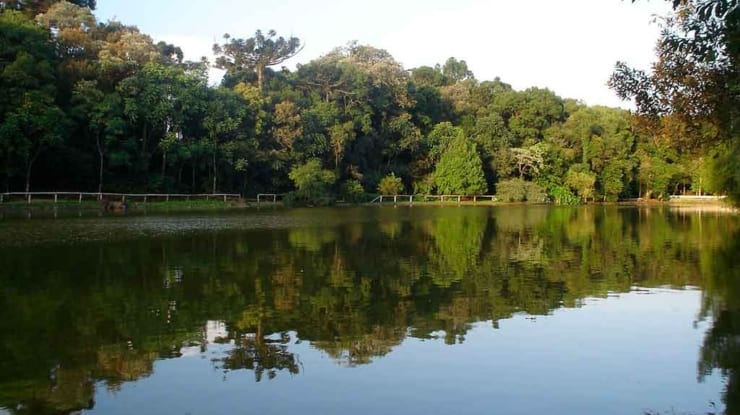 O que fazer em Nova Petrópolis: turismo, gastronomia e compras