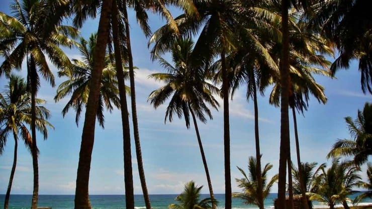 Península de Maraú: turismo, informações e dicas para o seu roteiro