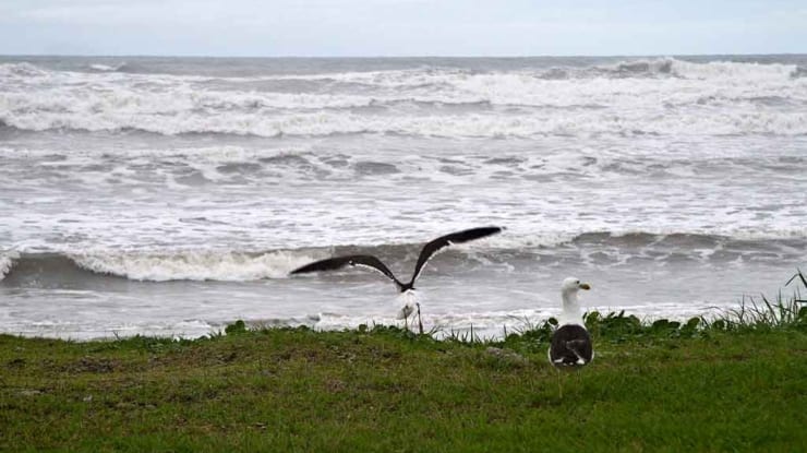 Praias de Peruíbe: 9 lugares mais belos da cidade paulista