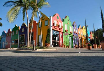 Holambra: como ir, melhor época e pontos turísticos