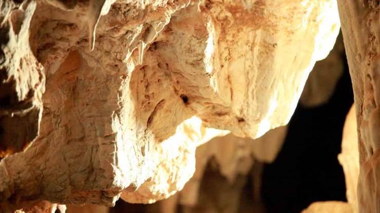 Caverna do Petar: conheça o Parque Estadual Turístico do Alto Ribeira!