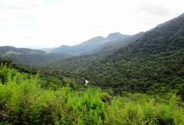 O que fazer no Parque Nacional do Caparaó? Saiba aqui!