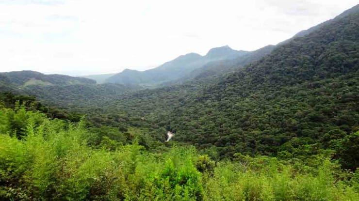 O que fazer no Parque Nacional do Caparaó? Saiba aqui!