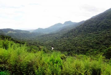 São Francisco Xavier, SP: informações, atrações principais e roteiro
