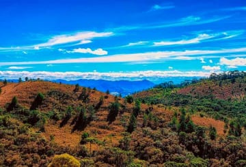 O que fazer em Serra Negra: guia completo para turismo na cidade