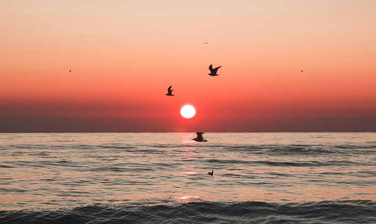 Onde ver o por do sol em Maringá