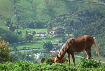Visconde de Mauá: informações, o que fazer e dicas de viagem
