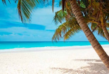 Cumuruxatiba: conheça o litoral deserto na Costa das Baleias