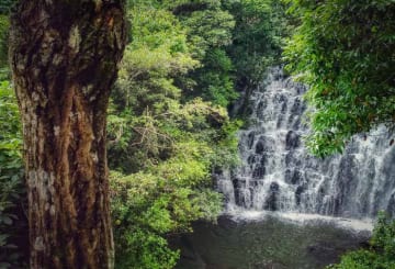 Lumiar, RJ: guia de turismo, gastronomia e hospedagem
