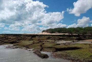 Touros, RN: mapa, história, passeios e dicas