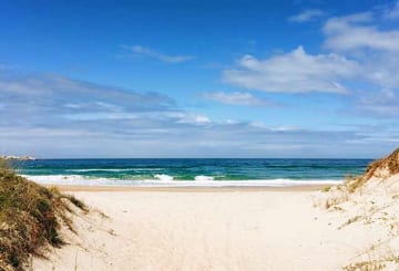 Praias de Garopaba: onde fica, como chegar, mapa e melhores praias