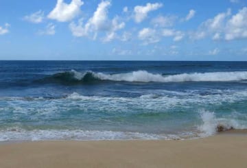 Ilha da Madeira, RJ: Uma das mais belas praias no Rio de Janeiro!