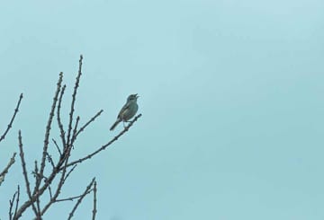 Indaiatuba, SP: confira onde fica e quais os principais pontos turísticos!