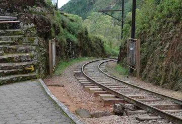 Santo Antônio do Pinhal: veja o que fazer, onde fica, melhores pontos turísticos e outras dicas interessantes