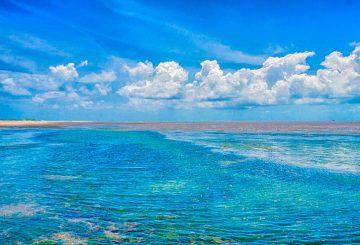 Ilha de Itamaracá, PE: em qual cidade fica a ilha, quantas praias são, o que fazer e outras curiosidades!