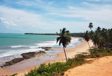 Praias de Japaratinga: conheça esta cidade em alagoas e saiba o que fazer nas praias e arredores!