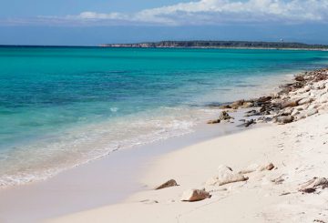 Ilha Santo Aleixo: confira esse destino pernambucano e veja nossas dicas!