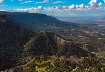 Parque Nacional de Ubajara: conheça as maravilhas naturais do Ceará!