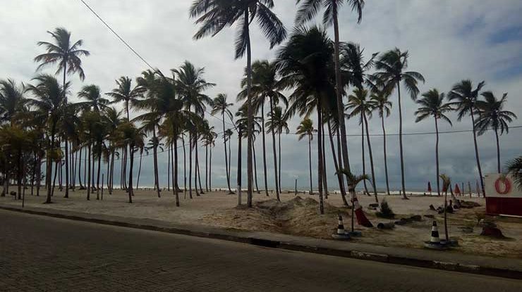 Canavieiras, Bahia: veja onde fica, como é a cidade e quais são as melhores praias!