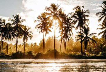 Itacaré, Bahia: conheça a cidade e suas melhores praias! Itacaré, Bahia: conheça a cidade e suas melhores praias!