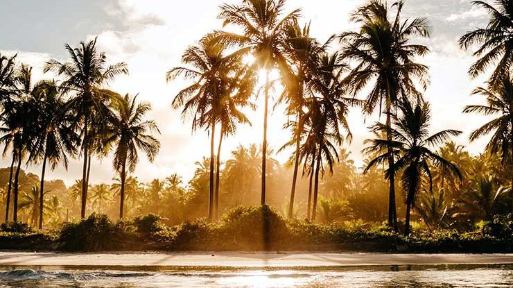 Itacaré, Bahia: conheça a cidade e suas melhores praias!