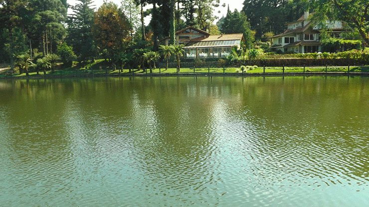 Lagoa da Harmonia, Teutônia: conheça os atrativos dessa cidade sulista!