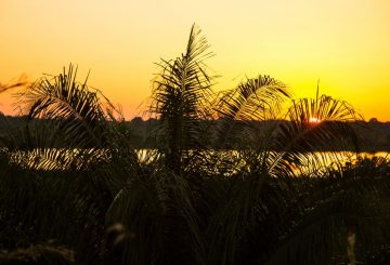 Capital de Rondônia: o que não contaram sobre Porto Velho
