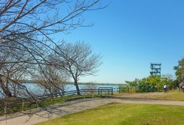 Rosário, Argentina: como chegar, pontos turísticos, gastronomia e mais!