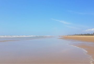 Como planejar sua viagem usando a Tábua de Maré: Dicas e Orientações! 