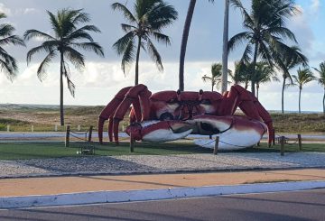 Lugares para viajar no mês de junho nas férias!