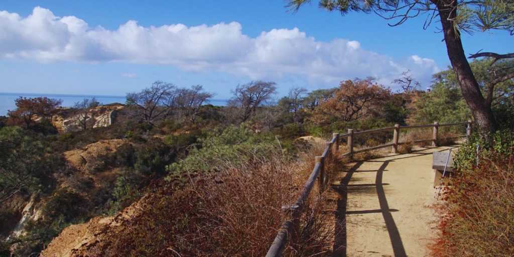 Torrey Pines State Natural