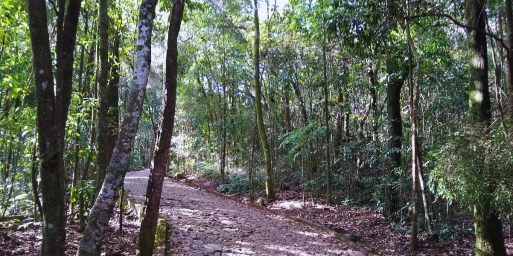 Parque Municipal das Mangabeiras 
